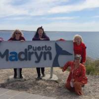 Encuentro 26287 : ME ACOMPAÑAS EN OCTUBRE AL SUR  PENINSULA DE VALDES Y DISFRUTAR DEL AVISTAJE DE BALLENAS?????