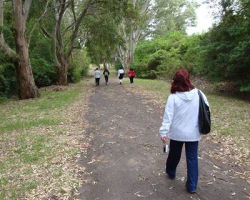 3717 21 Caminando hacia el Parque de los héroes...