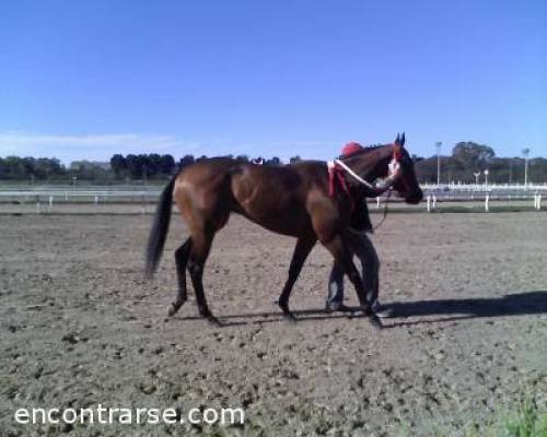 3754 1 PALERMO II HIPODROMO POR LA JONES