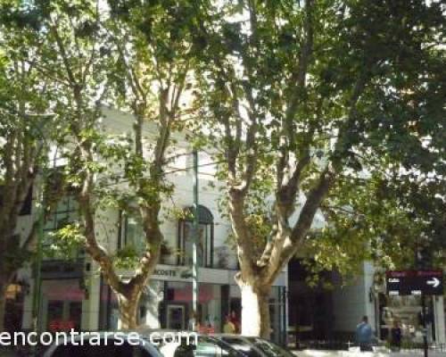 4340 3 BELGRANO C - POR LA JONES