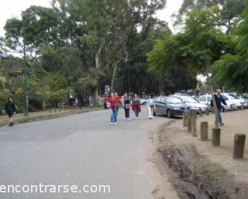 5208 4 Aire Libre, Caminatas y Amigos