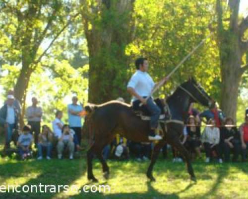 5554 9 LA CARRERA DE SORTIJAS,  QUE NOS ENTRETUVO POR LA TARDE