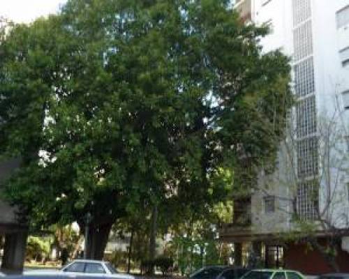 5560 10 SECRETOS DE PARQUE CHACABUCO- POR LA JONES
