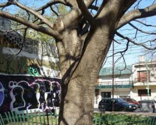 5560 7 SECRETOS DE PARQUE CHACABUCO- POR LA JONES