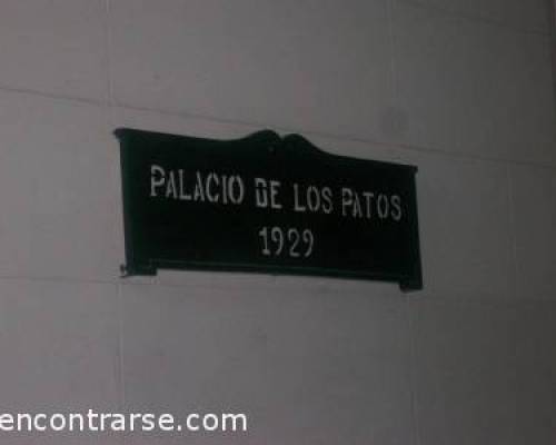 6008 11 MUSEO EVITA-PATOS-GANSOS-PENITENCIARIA POR LA JONES 