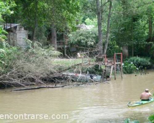 6220 1 TODAVÍA NO TE FUISTE DE VACAS? VENITE AL TIGRE, QUE TAMBIÉN TENEMOS PLAYA Y AGUA!! YA VOLVISTE? VENITE IGUAL