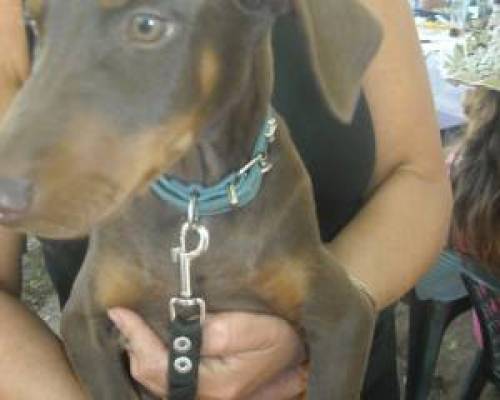 Zeus, un nuevo compañero de ENCONTRARSE.CAN :Encuentro Grupal Vamos por otro Día especial