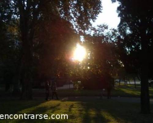 6534 2 ALPARGATAS SI LIBROS NO -ESTRENO- POR LA JONES  