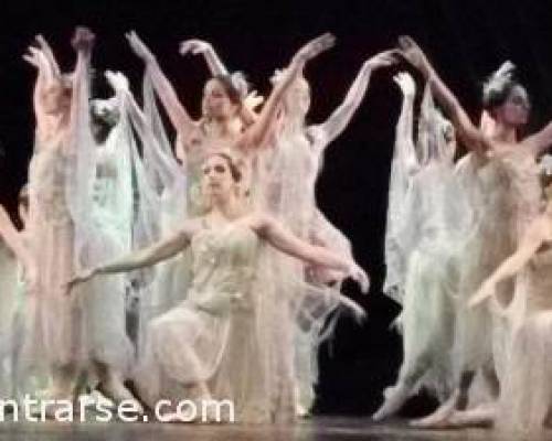 6769 34 BALLET Y MORFETE EN LA PLATA