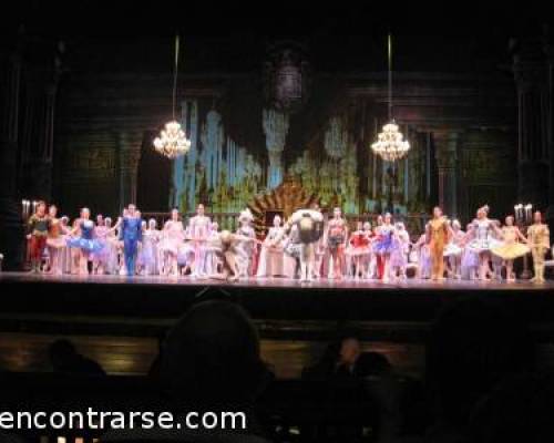 6769 84 BALLET Y MORFETE EN LA PLATA