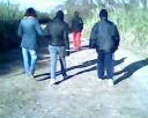 7255 2 Los domingos por la tarde CAMINATA POR LA RESERVA ECOLOGICA DE COSTANERA SUR