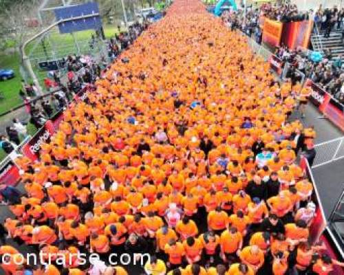 7312 3 ¡ CARRERA REEBOK REERUN 10K 2011 ! ANIMATE Y ACOMPAÑANOS A CAMINAR O CORRER