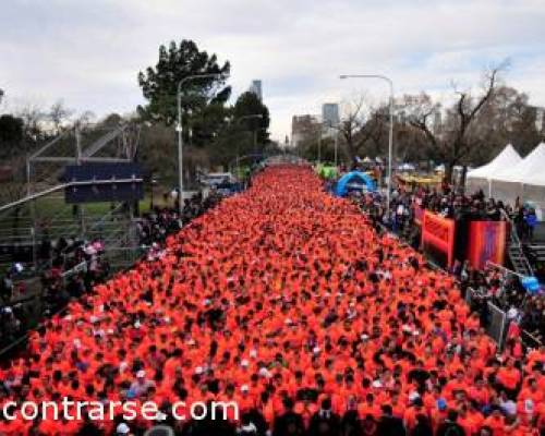 7312 4 ¡ CARRERA REEBOK REERUN 10K 2011 ! ANIMATE Y ACOMPAÑANOS A CAMINAR O CORRER