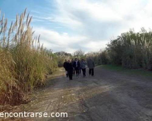 7331 4 Los domingos por la tarde CAMINATA POR LA RESERVA ECOLOGICA DE COSTANERA SUR