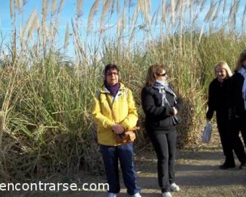 7331 5 Los domingos por la tarde CAMINATA POR LA RESERVA ECOLOGICA DE COSTANERA SUR