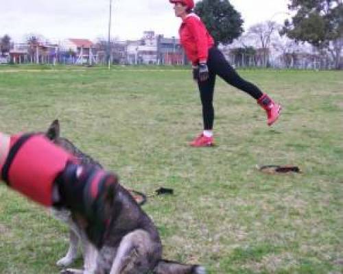 7492 8 ENTRENAMIENTO GRAL, PARA CARRERAS Y GIMNASIA