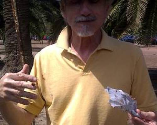 8338 6 Vamos a Palermo a Caminar, Correr y pasarla bien