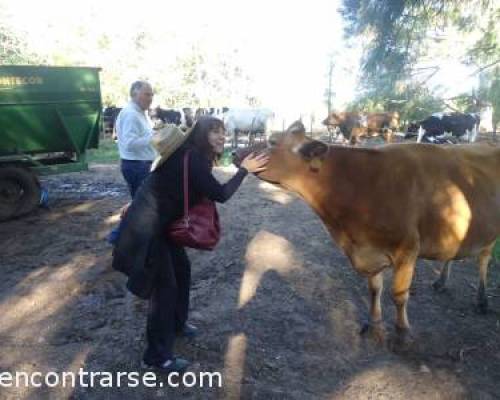 8545 20 DIA DE CAMPO EN UNA ESTANCIA