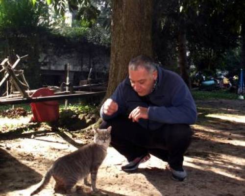 8673 11 jornada de tai chi chi kung y meditación en Tigre