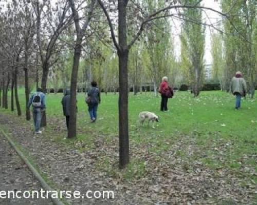 8873 1 Los domingos por la tarde CAMINATA POR LA RESERVA ECOLOGICA DE COSTANERA SUR