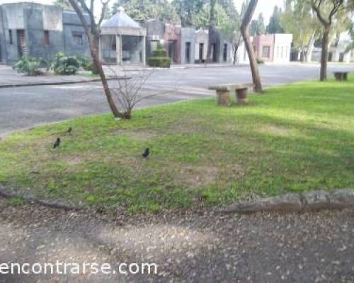 8953 5 CEMENTERIO DE LA CHACARITA -ESTRENO -POR LA JONES