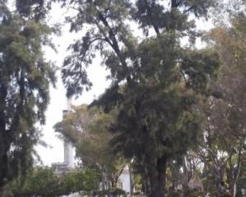 8953 8 CEMENTERIO DE LA CHACARITA -ESTRENO -POR LA JONES