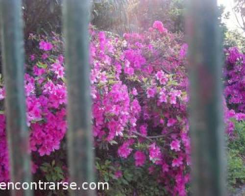 9269 8 VILLA DEVOTO POR LA JONES Un Jardín en Buenos Aires  