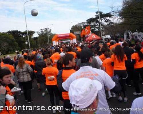 9308 8 Maratón El Arte de Vivir por la Paz Mundial