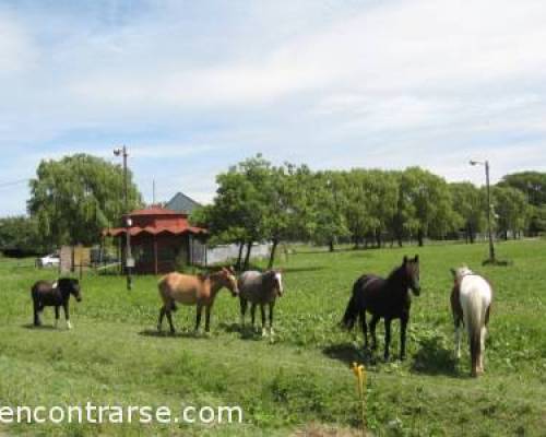 9616 18 Sabado, caminata