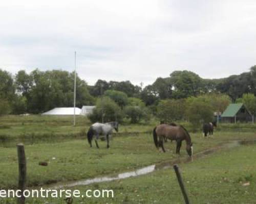 10154 12 Sabado, caminata...