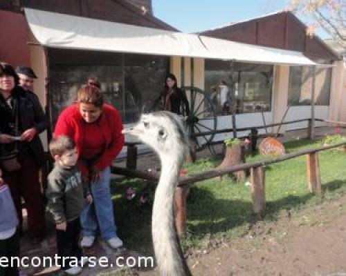 10284 11 DIA DE CAMPO EN LA PEQUEÑA HOLANDA