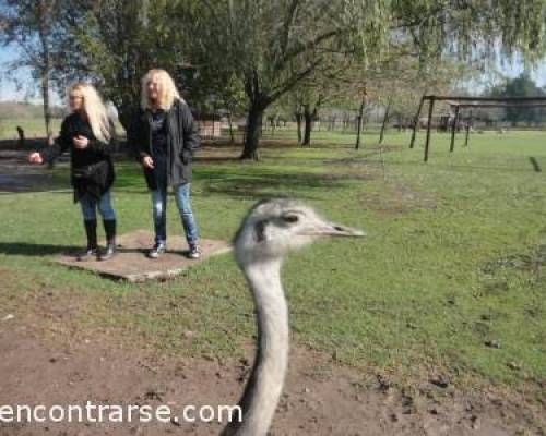 10284 12 DIA DE CAMPO EN LA PEQUEÑA HOLANDA