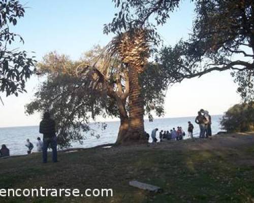 10371 19 VUELVEN LAS CAMINATA POR LA RESERVA DE LA COSTANERA SUR      