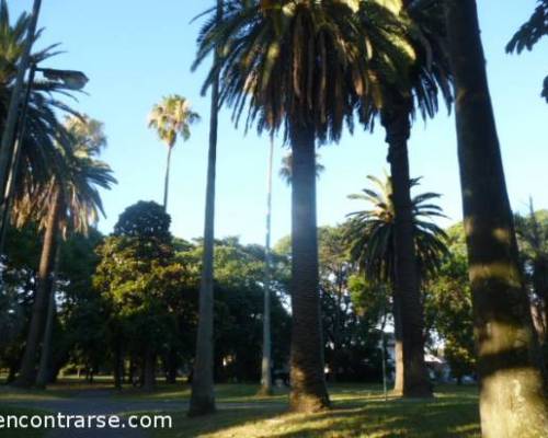 11340 4 BARRIO DE SAAVEDRA Y MUSEO POR LA JONES 