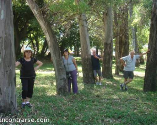 11549 3 Sabado...Caminata !