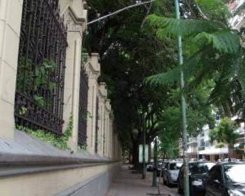 9667 3 LAS CAÑITAS POR LA JONES 