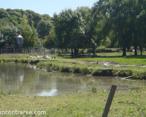 11889 7 Sabado Caminata en Agronomia!!!