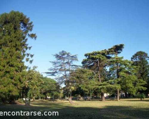 11907 24 Venis a caminar por el Parque General Paz.. o tambien llamado Pque. Saavedra??