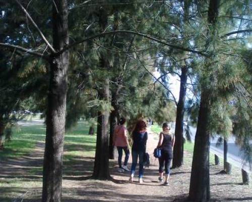 11945 18 Venis a caminar por el Parque General Paz?