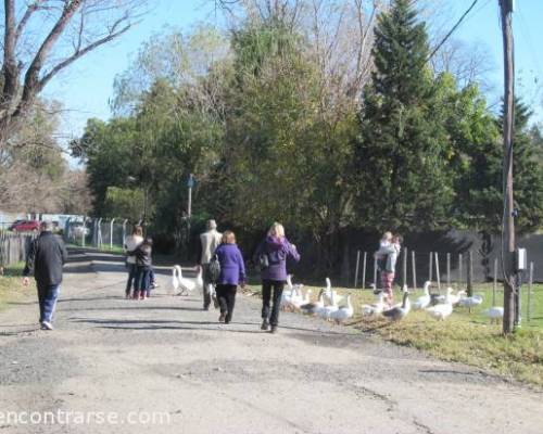 12413 14 Sabado Caminata en Agronomia!!!!