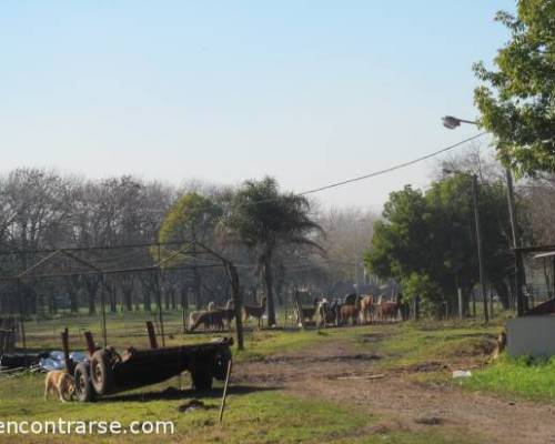 12413 6 Sabado Caminata en Agronomia!!!!