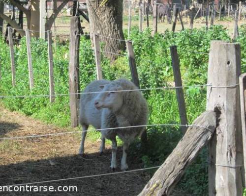 12413 7 Sabado Caminata en Agronomia!!!!