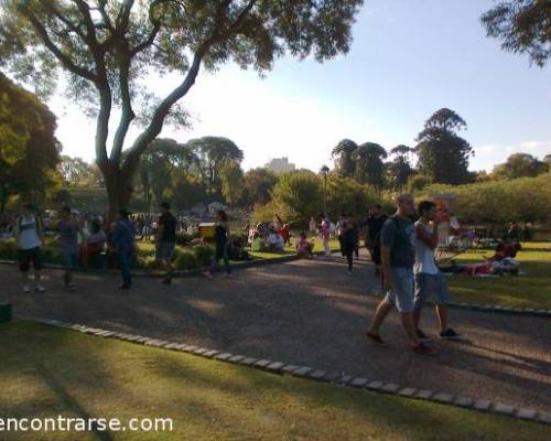 13579 24 PARQUE CENTENARIO: PASEO POR EL LAGO Y FERIA > ESTE DOMINGO