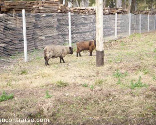 la famosa oveja negra :Encuentro Grupal FIESTA NACIONAL DEL LOCRO Y LA EMPANADA