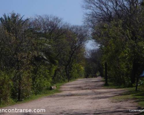 14283 5 Seguimos entrenando por Costanera Sur