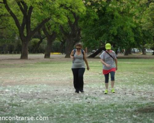 14455 25 CAMINATA POR LOS LAGOS