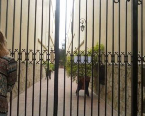 14535 13 PALERMO SENSIBLE- VILLA FREUD POR LA JONES 