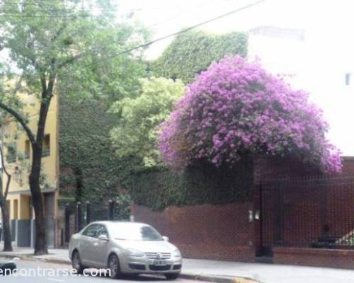 14535 15 PALERMO SENSIBLE- VILLA FREUD POR LA JONES 