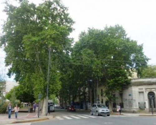 14535 16 PALERMO SENSIBLE- VILLA FREUD POR LA JONES 