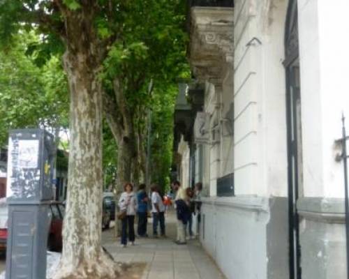 14535 17 PALERMO SENSIBLE- VILLA FREUD POR LA JONES 